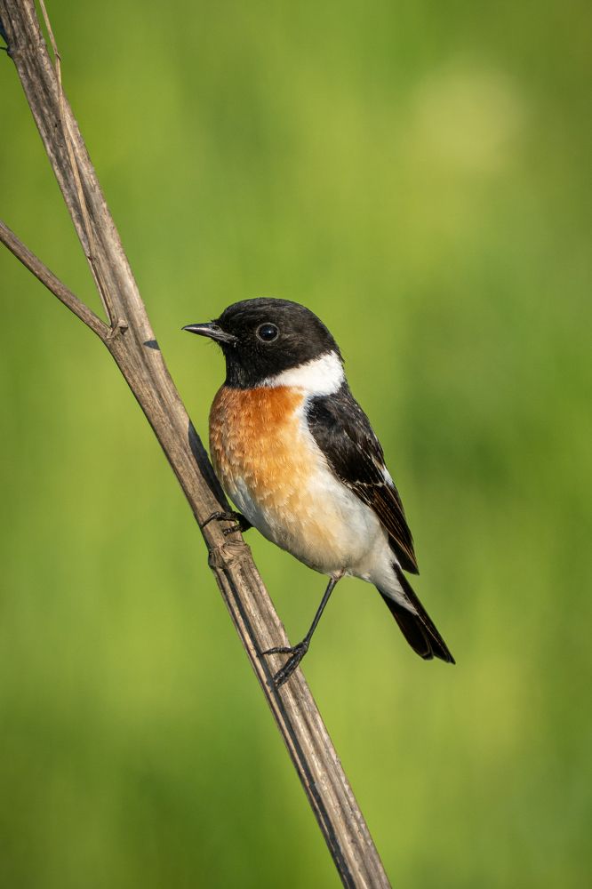 Photograph by Высотских Владимир