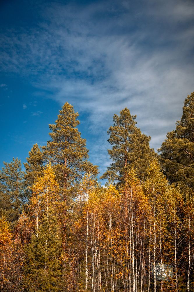 Photograph by Высотских Владимир