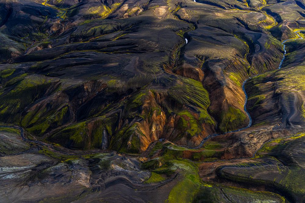 Фотография автора Julia A Caesar