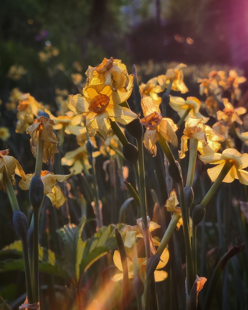 Photograph by Татьяна Соколовская