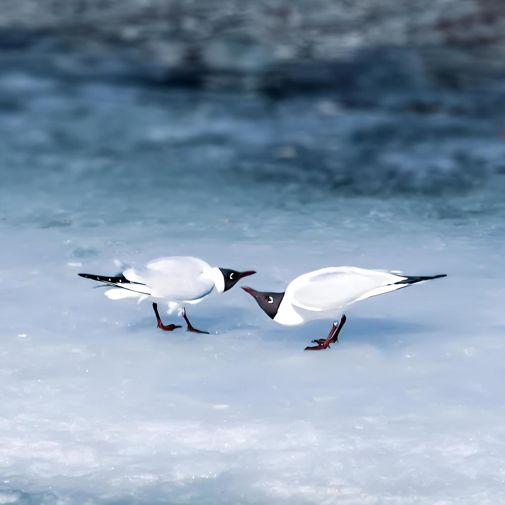 Photograph by Дьяченко Алёна