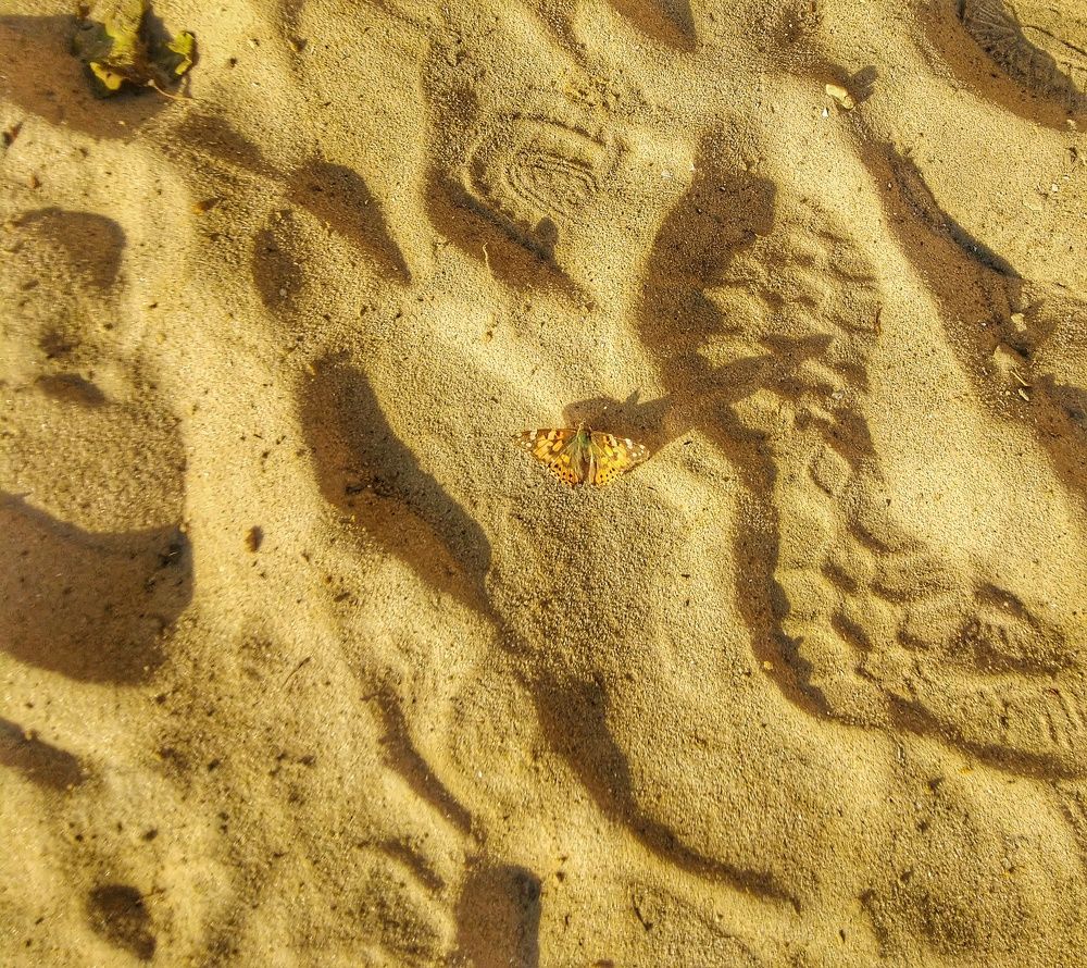 Photograph by Анна Матецкая