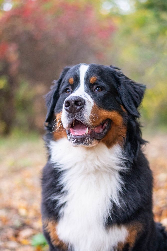 Photograph by Екатерина Медведева