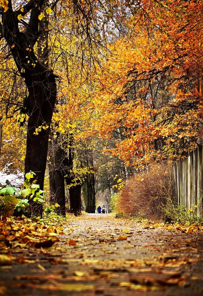 Photograph by Анна Епанчинцева