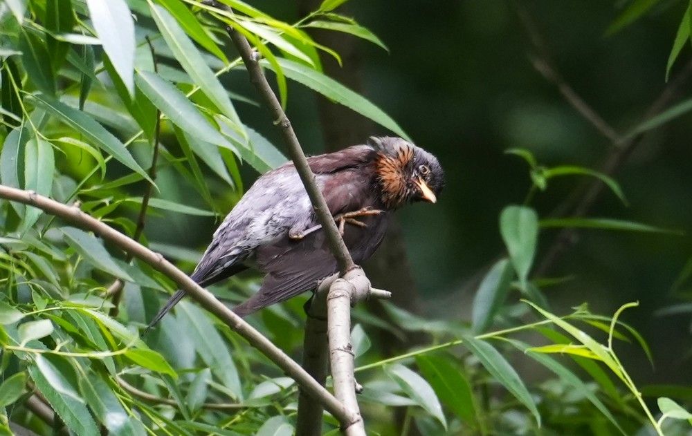 Photograph by Михаил Трусов