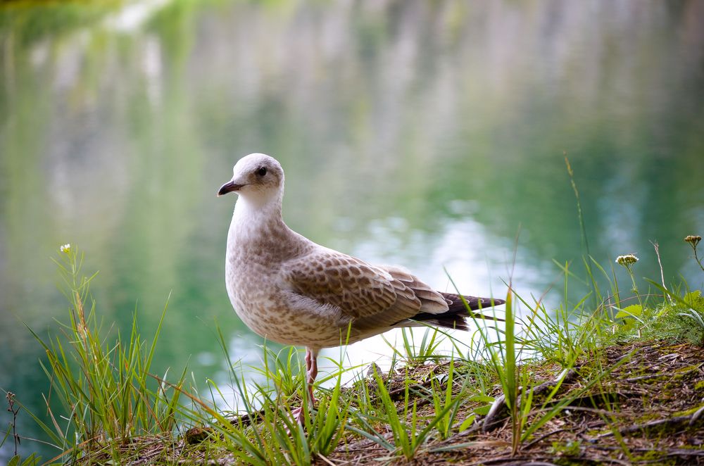 Photograph by Виолетта Бастет