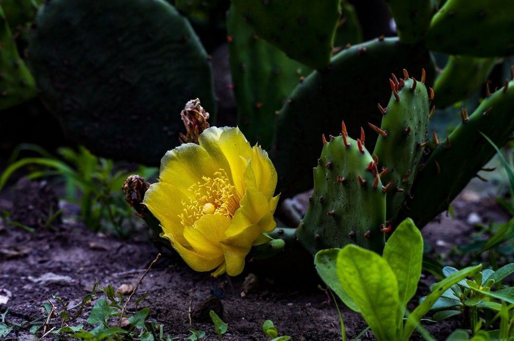 Photograph by Крупченко Роман