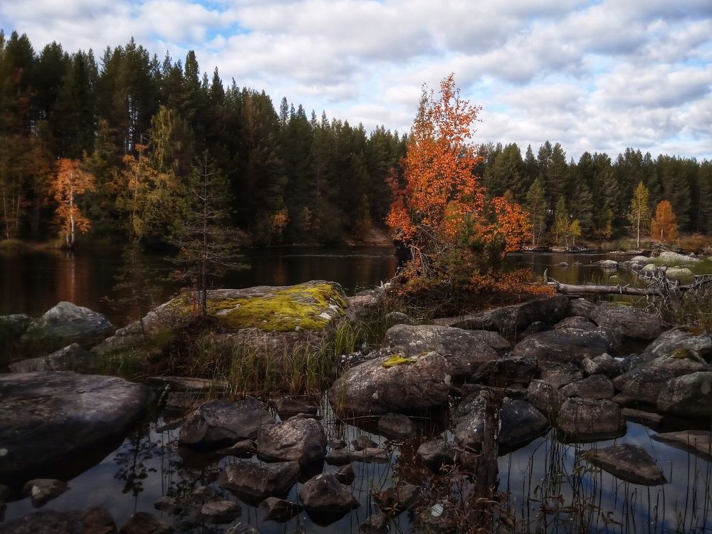 Фотография автора Татьяна Даль
