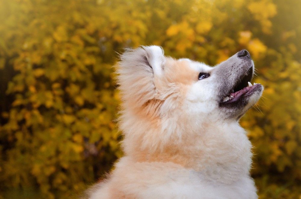 Photograph by Виолетта Бастет