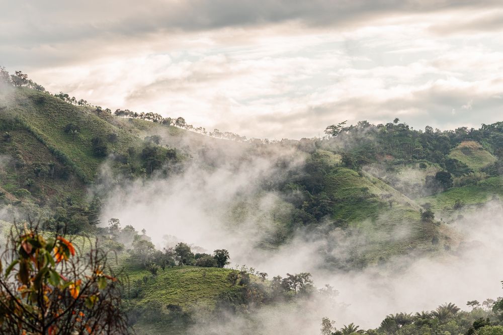 Photograph by Sandra Alvarez