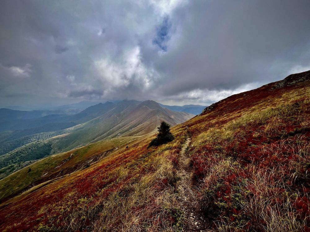 Photograph by Katrina Koleva