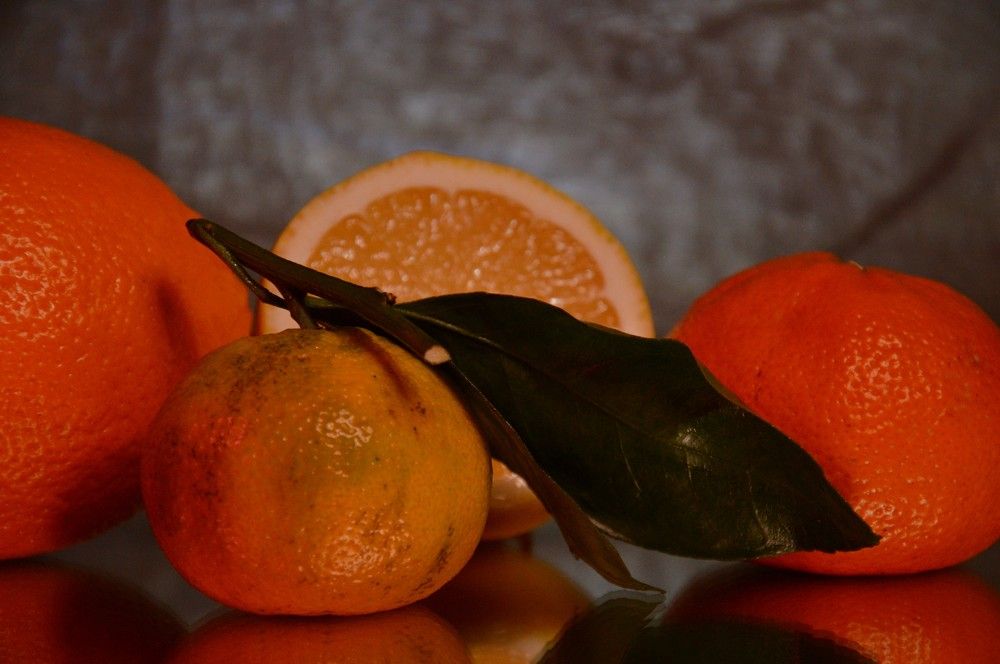 Photograph by Ольга Шевцова