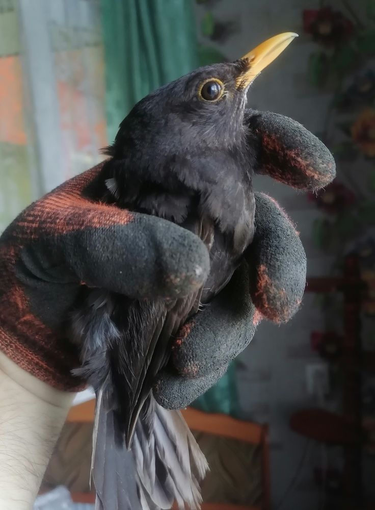 Фотография автора Виталий Дузь