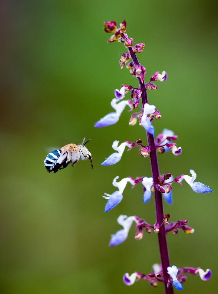 Photograph by Arindam Sahoo