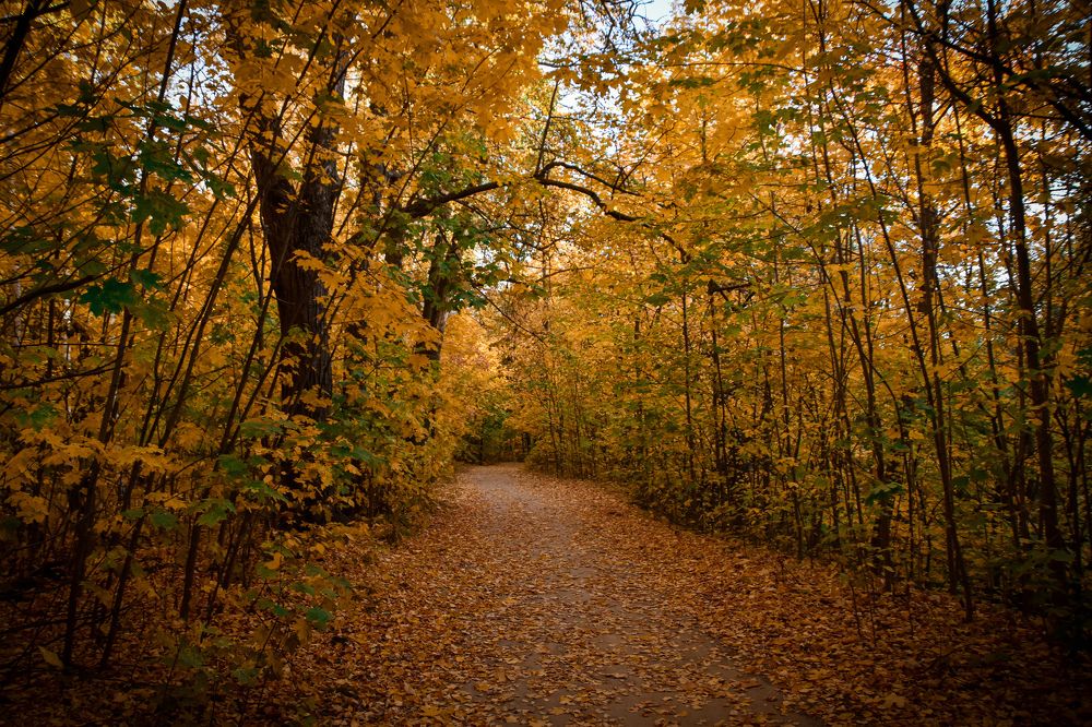 Photograph by Elvira