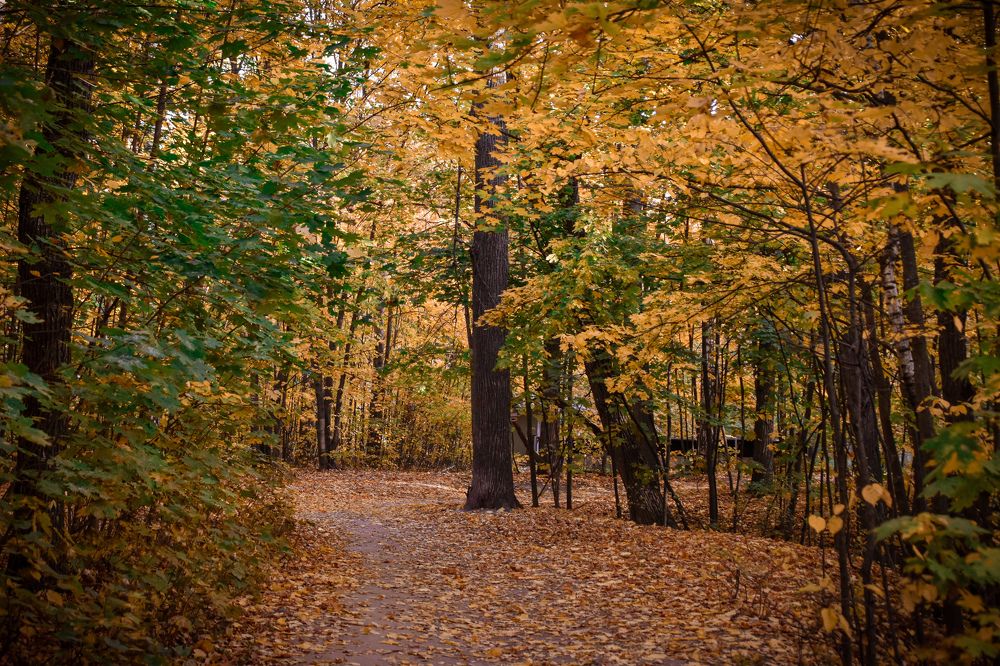 Photograph by Elvira