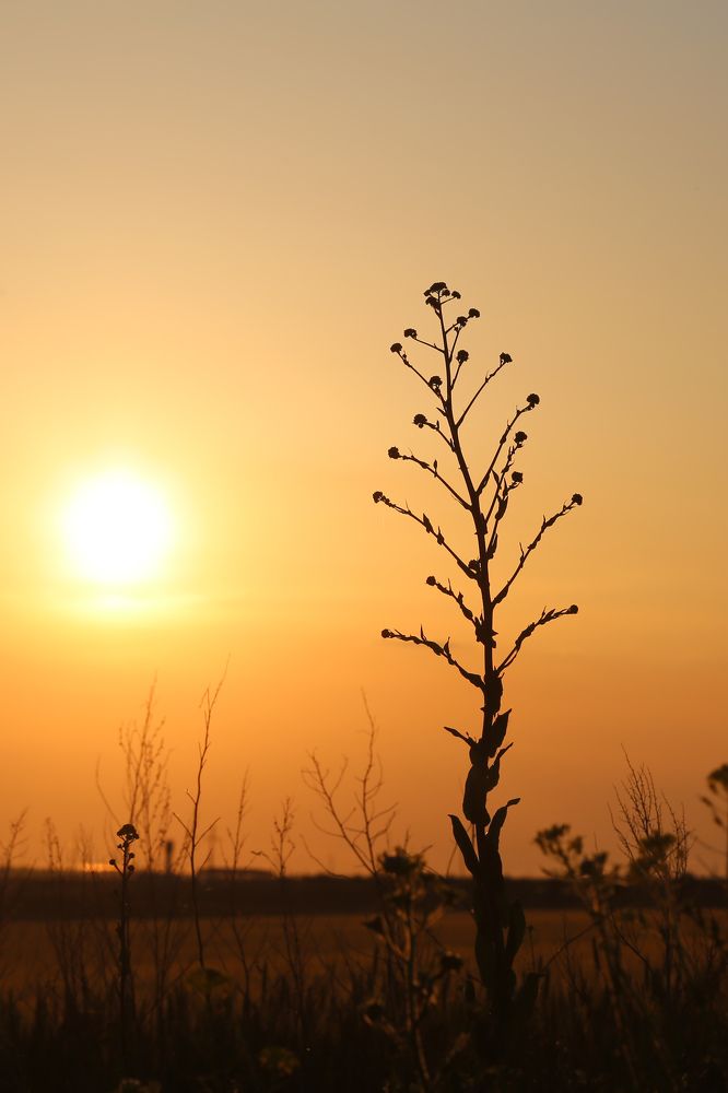 Фотография автора Ирина Якущенко
