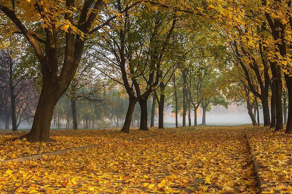 Фотография автора Борис Журавлёв