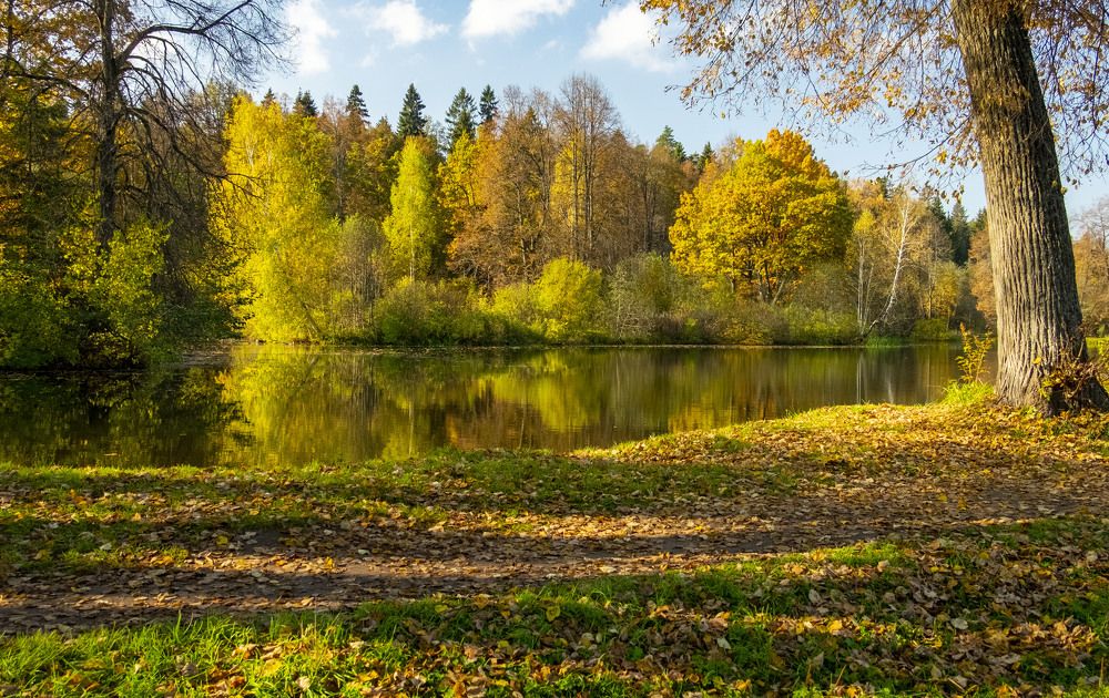 Photograph by Елена Маракулина