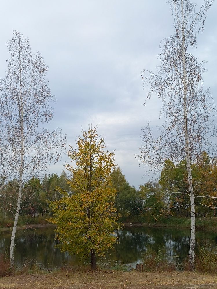 Photograph by Людмила Сотникова