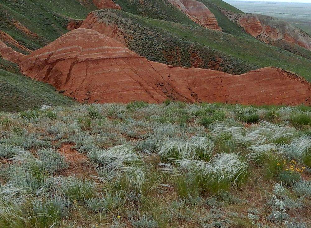 Photograph by София Гавриловна Вотякова