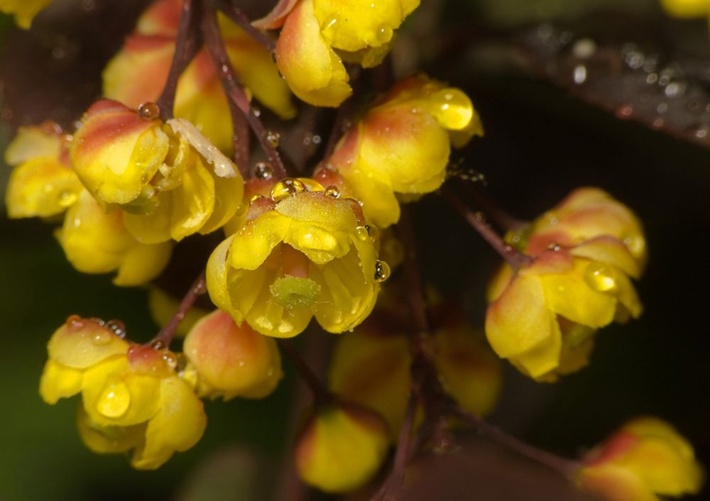 Фотография автора Борис Журавлёв