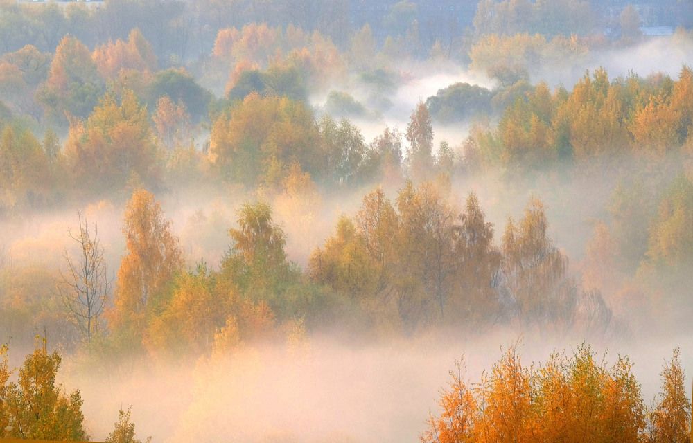 Photograph by Елена Маракулина