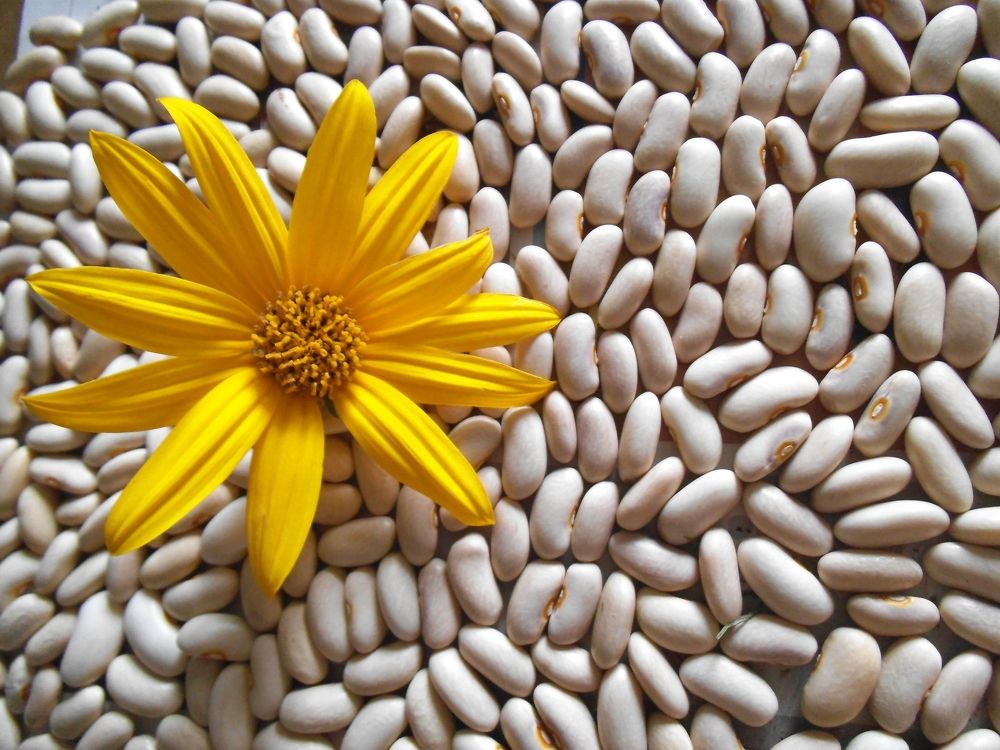 Photograph by Татьяна Красавцева