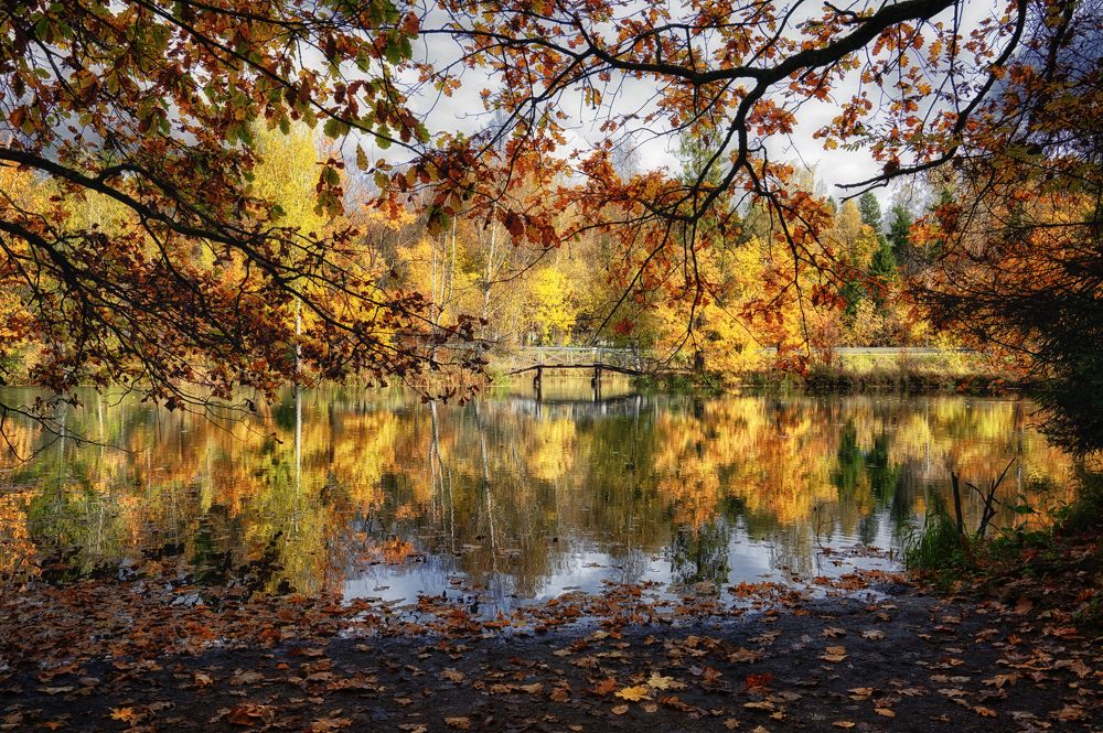 Фотография автора Андрей Пучков
