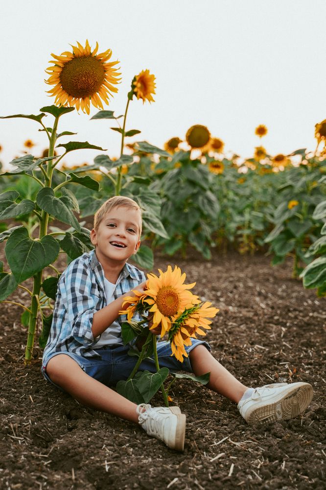 Фотография автора Анастасия Шипилова