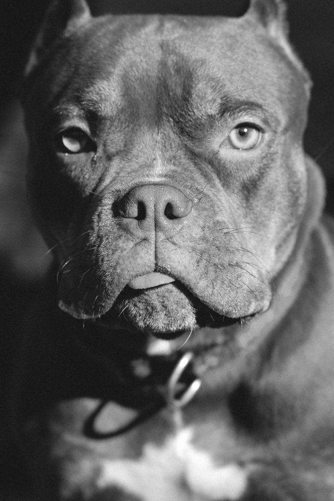 Photograph by Валерия Гуртовая