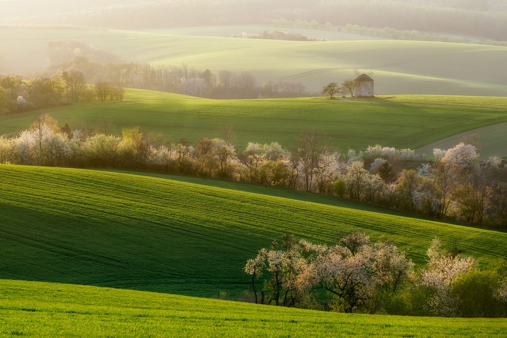 mill in the golden hour