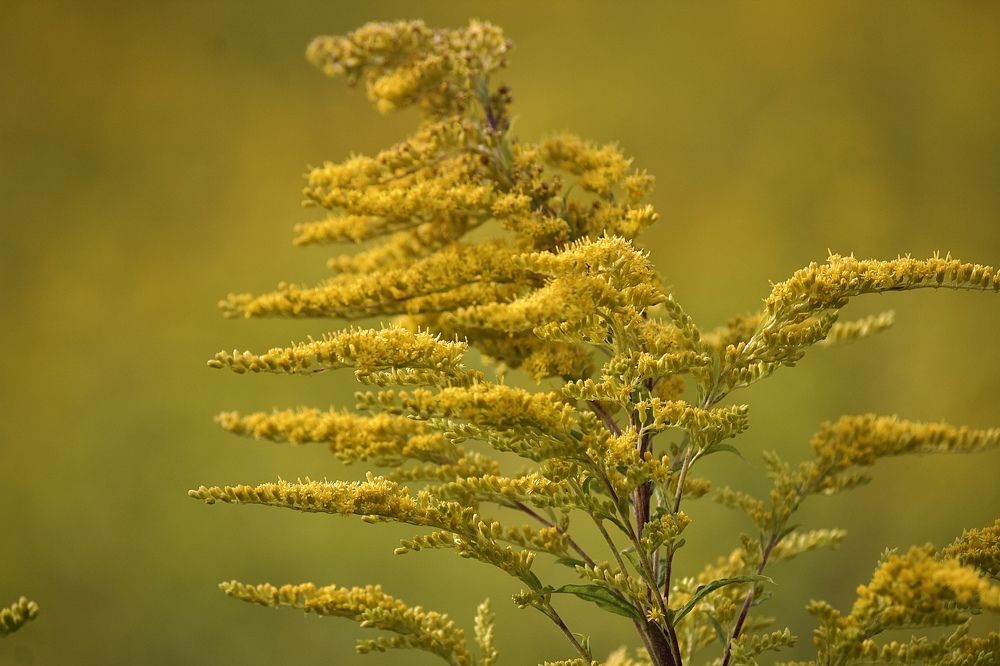 Photograph by Лариса Белашова