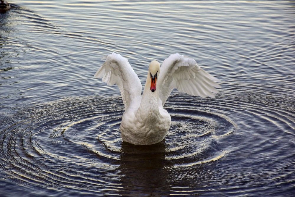 Photograph by Дмитрий Петров