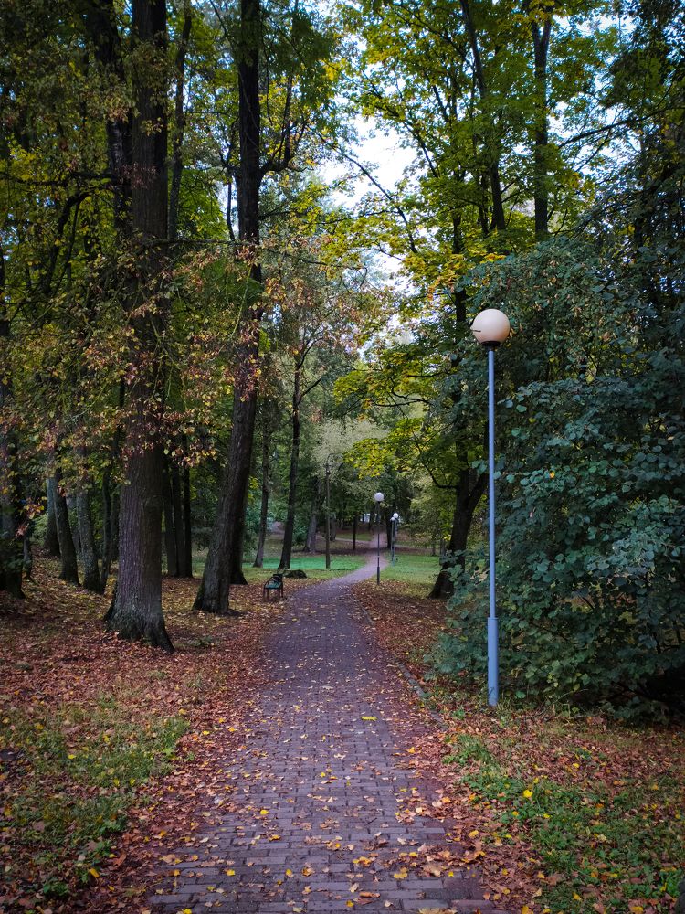 Photograph by Людмила Емельянчикова