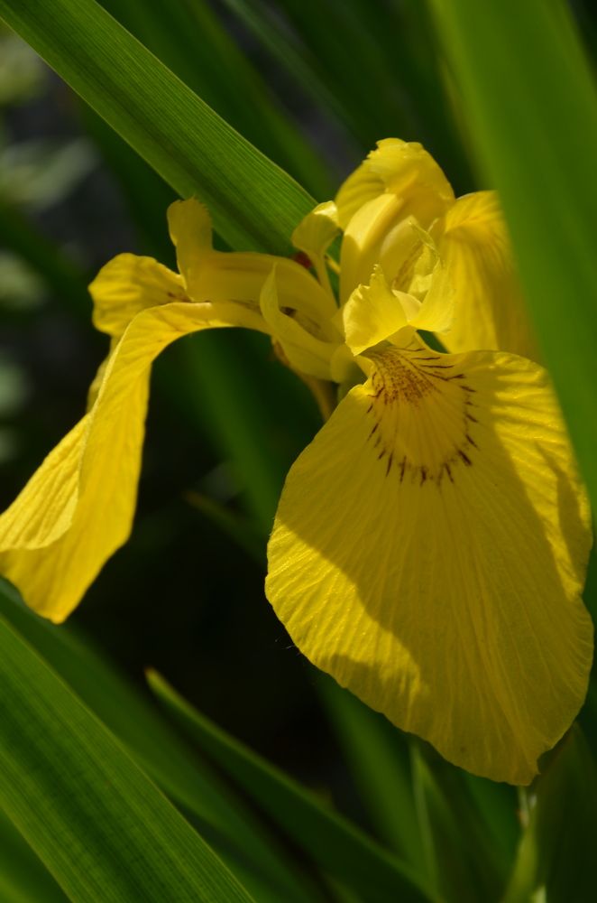 Photograph by Valentina