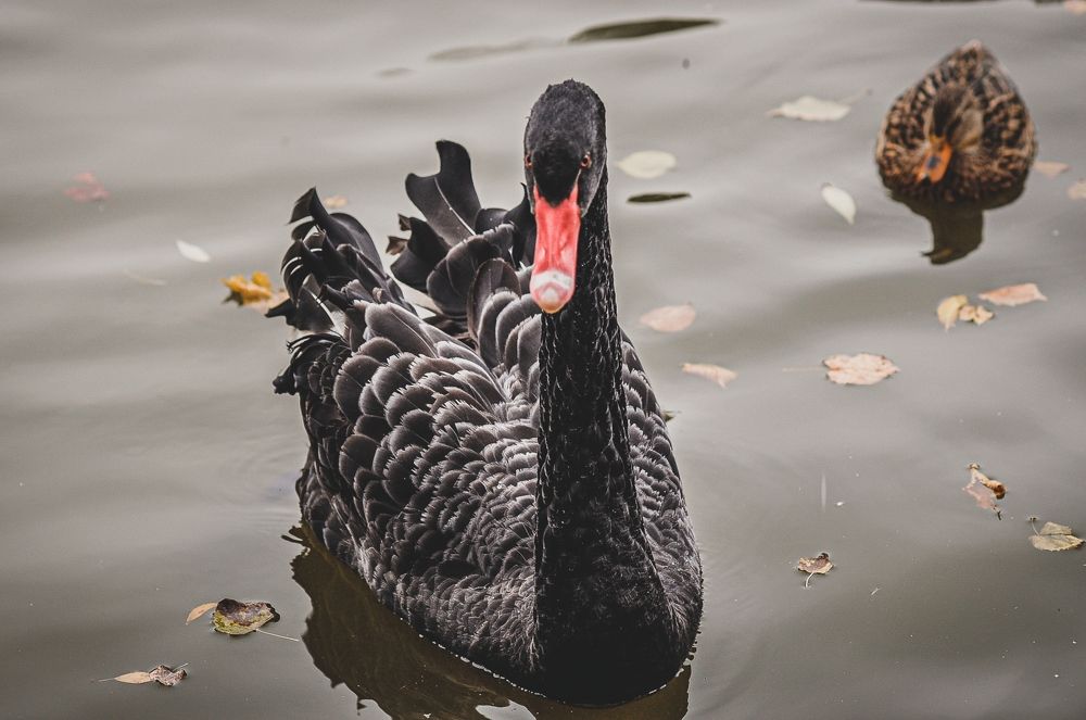 Photograph by Ольга Кудина