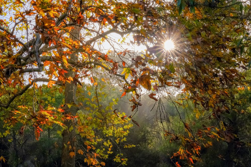 Photograph by Думнова Алёна