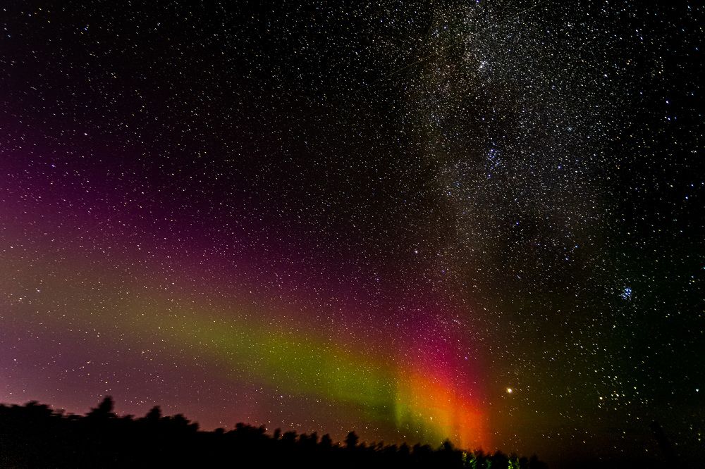 Photograph by алия евдокимова