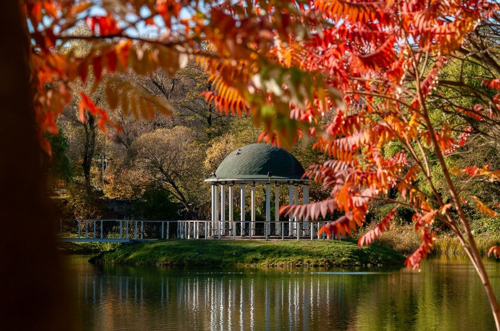 Photograph by Ольга Кудина