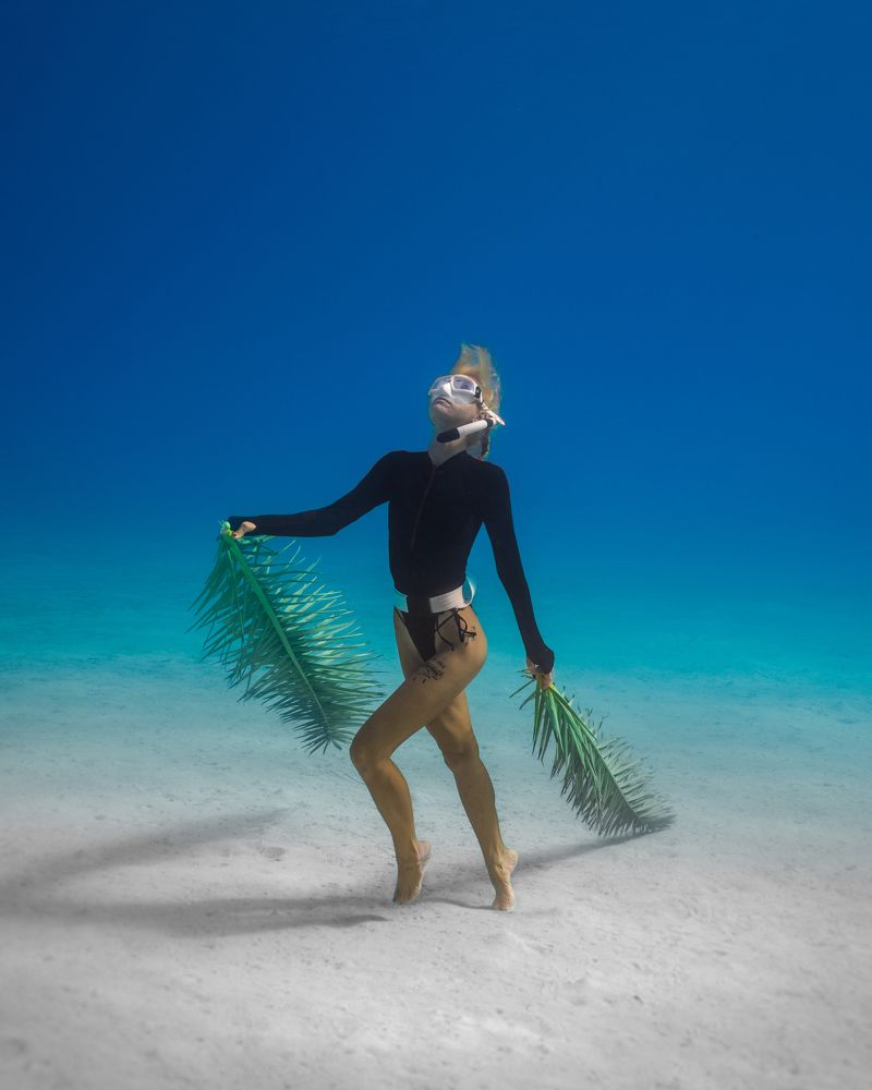 Photograph by nino theo