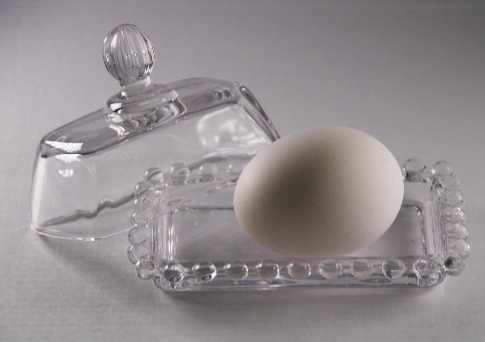 Photograph by Photo Ninenine