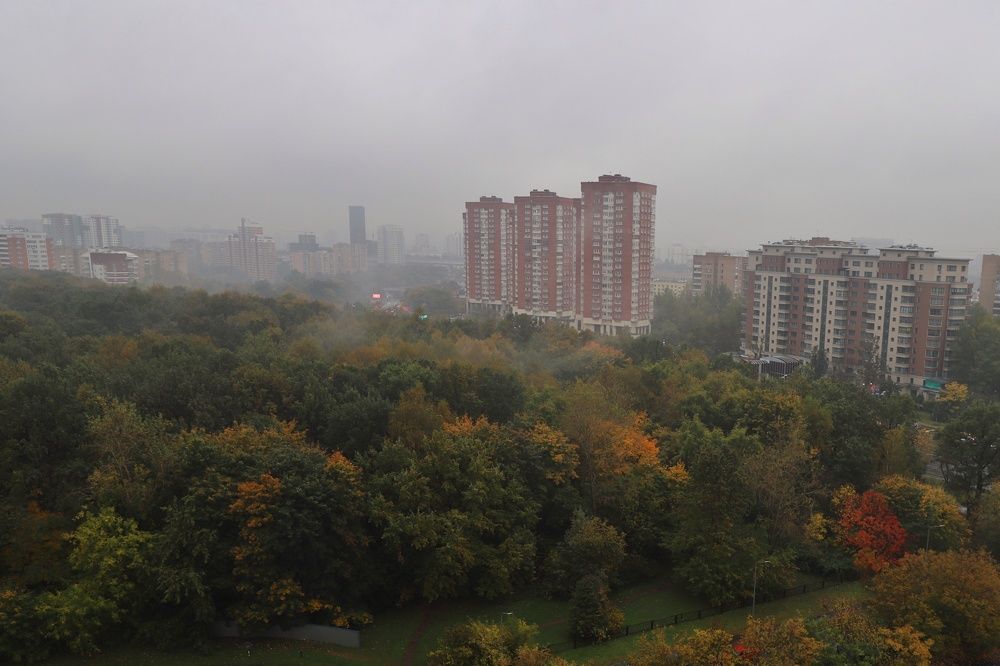 Photograph by Елена Тимченко