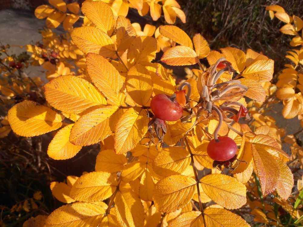 Photograph by Olga Kot