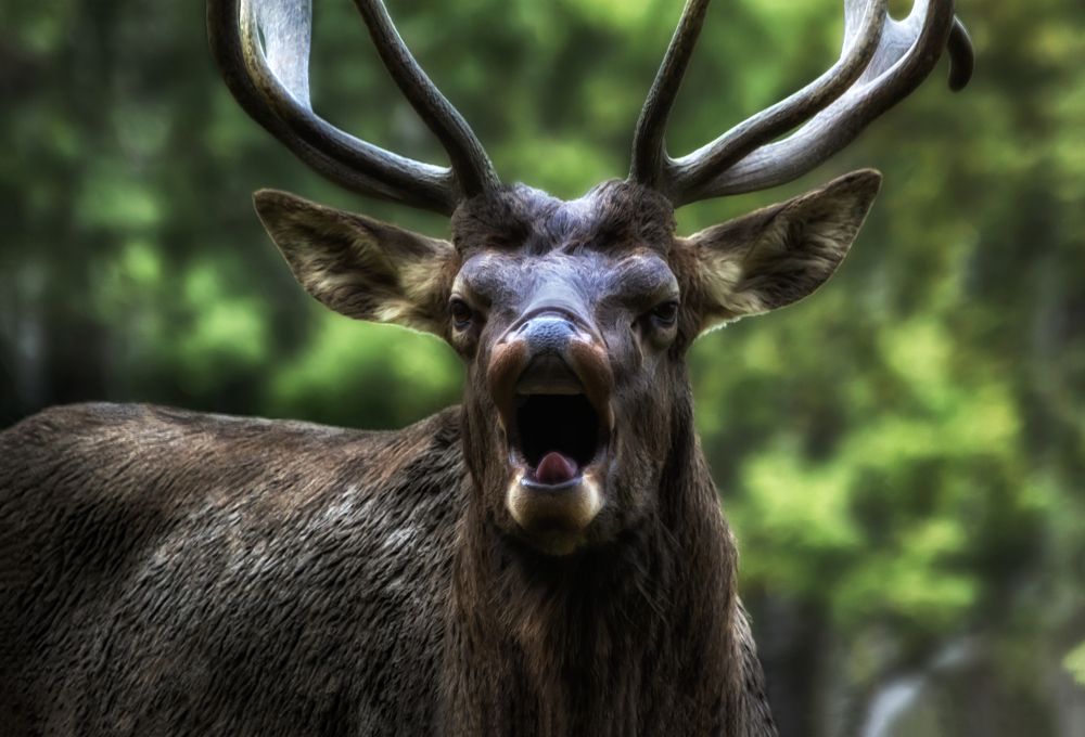 Photograph by Глухарёва Ольга