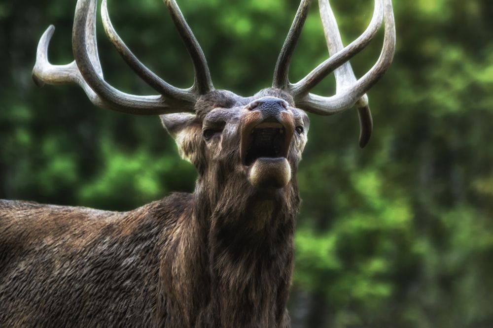 Photograph by Глухарёва Ольга