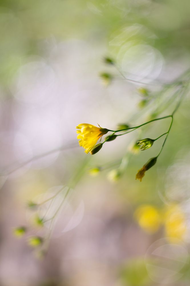 Photograph by Mina Mamdouhi