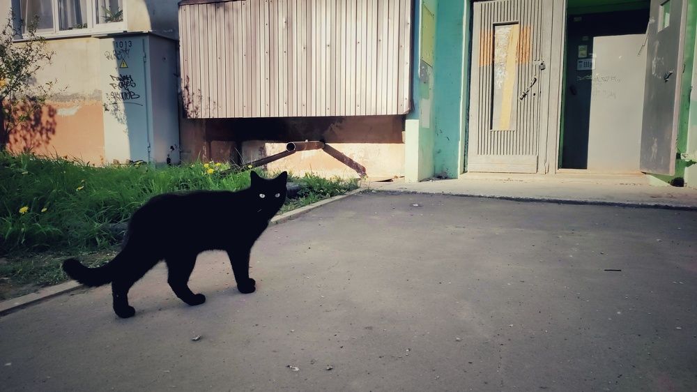 Photograph by Калюнова Наталья