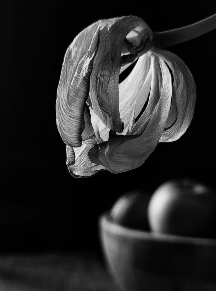 Photograph by Валерия Гуртовая