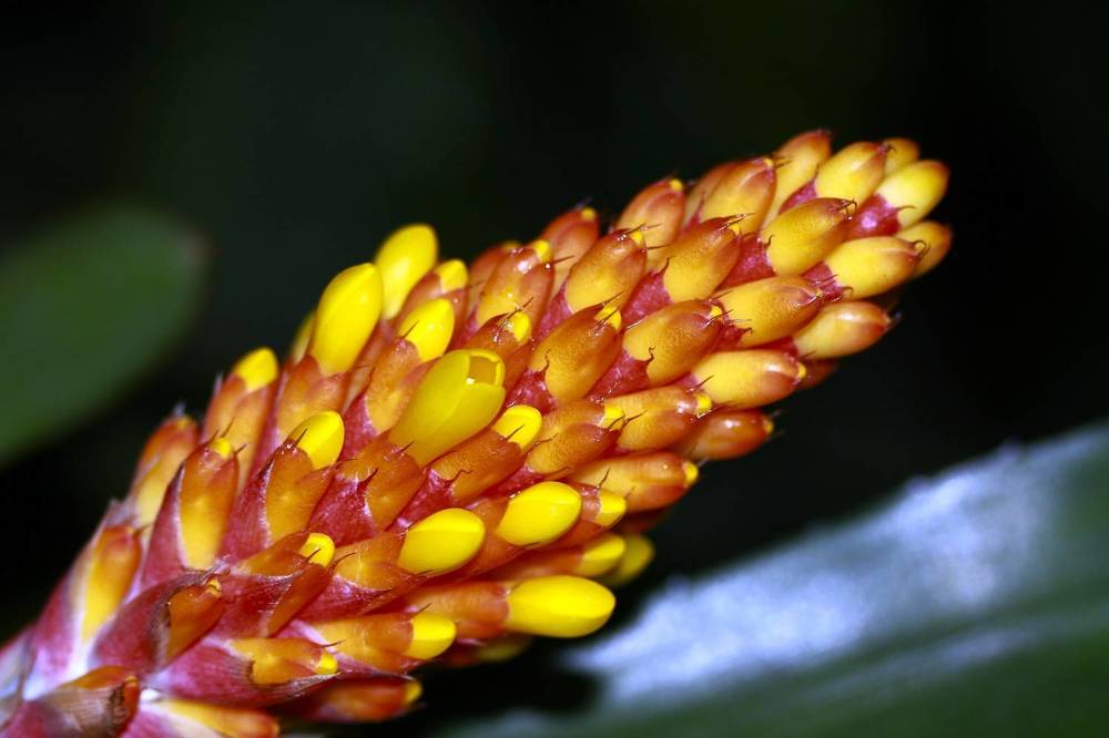 Photograph by Гагик Саркисян